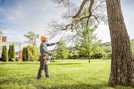 Best Tree Removal Service  in Johnston City, IL